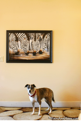 Home Décor, Interior/Exterior Design, Home Staging Ideas