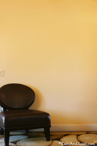 Ventura home decor and staging