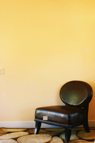 Ventura home decor and staging